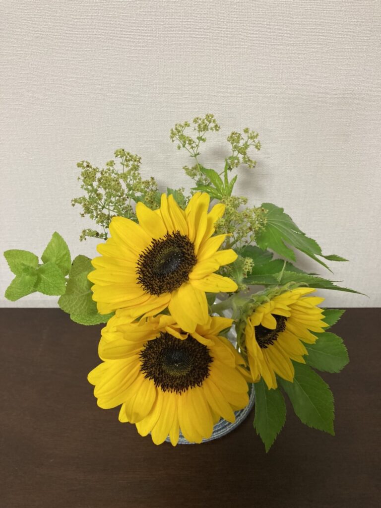 ひまわり