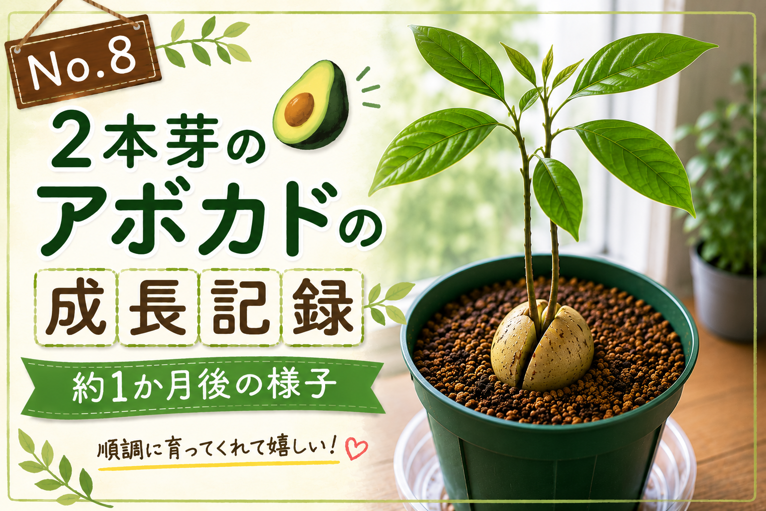約1か月成長した2本芽のアボカドのイメージイラスト